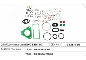 7135-110 Delphi Conta Takımı